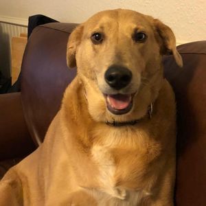 Meet your Posher, Katy